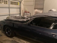 1981 Chevrolet Camaro for sale in Michigan (ID-110099)