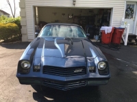 1981 Chevrolet Camaro for sale in Michigan (ID-110099)