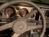 1981 Chevrolet Camaro for sale in Michigan (ID-110099)