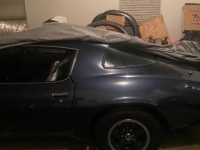 1981 Chevrolet Camaro for sale in Michigan (ID-110099)