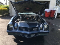 1981 Chevrolet Camaro for sale in Michigan (ID-110099)