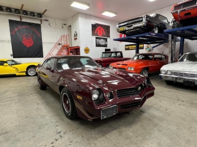 1981 Chevrolet Camaro for sale