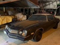 1981 Chevrolet Camaro for sale in Michigan (ID-115095)