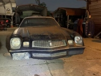 1981 Chevrolet Camaro for sale in Michigan (ID-115095)