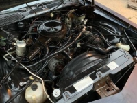 1981 Chevrolet Camaro for sale in Michigan (ID-115095)