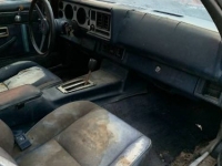 1981 Chevrolet Camaro for sale in Michigan (ID-115095)