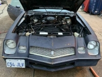 1981 Chevrolet Camaro for sale in Michigan (ID-115095)