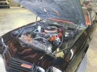1981 Chevrolet Camaro for sale in Michigan (ID-116432)