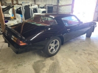 1981 Chevrolet Camaro for sale in Michigan (ID-116432)