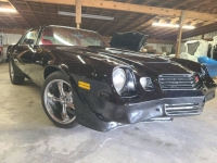 1981 Chevrolet Camaro for sale in Michigan (ID-116432)