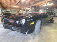 1981 Chevrolet Camaro for sale in Michigan (ID-116432)