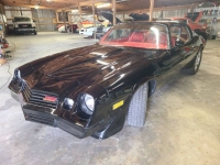 1981 Chevrolet Camaro for sale in Michigan (ID-116432)