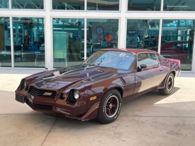 1981 Chevrolet Camaro for sale