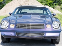 1981 Chevrolet Camaro for sale in Riverhead, New York (ID-118027)