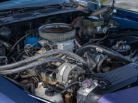 1981 Chevrolet Camaro for sale in Riverhead, New York (ID-118027)