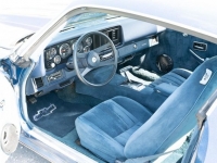1981 Chevrolet Camaro for sale in Riverhead, New York (ID-118027)