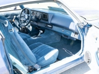 1981 Chevrolet Camaro for sale in Riverhead, New York (ID-118027)