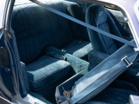 1981 Chevrolet Camaro for sale in Riverhead, New York (ID-118027)