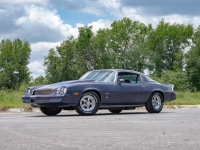 1981 Chevrolet Camaro for sale (ID-118494)