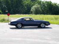1981 Chevrolet Camaro for sale (ID-118494)