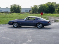 1981 Chevrolet Camaro for sale (ID-118494)