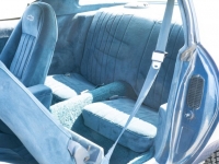 1981 Chevrolet Camaro for sale (ID-118494)