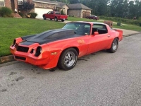 1981 Chevrolet Camaro for sale in Michigan (ID-123869)