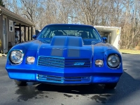 1981 Chevrolet Camaro for sale in Michigan (ID-124136)