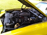 1981 Chevrolet Camaro for sale in Michigan (ID-125148)