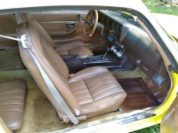 1981 Chevrolet Camaro for sale in Michigan (ID-125148)