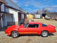 1981 Chevrolet Camaro for sale in Michigan (ID-127220)