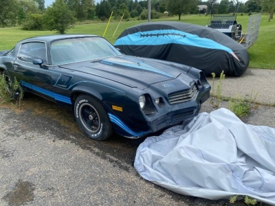 1981 Chevrolet Camaro for sale