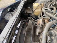 1981 Chevrolet Camaro for sale in Michigan (ID-135665)