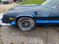 1981 Chevrolet Camaro for sale in Michigan (ID-135665)