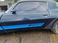 1981 Chevrolet Camaro for sale in Michigan (ID-135665)