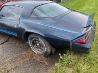 1981 Chevrolet Camaro for sale in Michigan (ID-135665)
