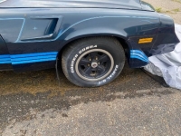 1981 Chevrolet Camaro for sale in Michigan (ID-135665)