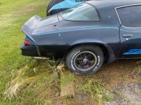 1981 Chevrolet Camaro for sale in Michigan (ID-135665)