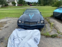 1981 Chevrolet Camaro for sale in Michigan (ID-135665)