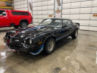 1981 Chevrolet Camaro for sale in Michigan (ID-138311)