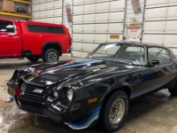 1981 Chevrolet Camaro for sale in Michigan (ID-138311)