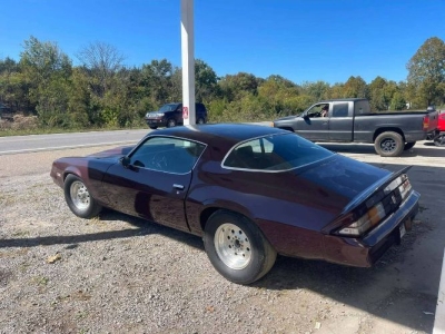 1981 Chevrolet Camaro for sale