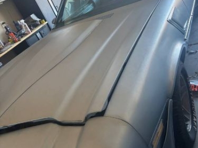 1981 Chevrolet Camaro for sale