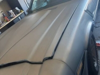 1981 Chevrolet Camaro for sale in Michigan (ID-161027)