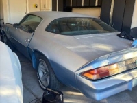 1981 Chevrolet Camaro for sale in Michigan (ID-161027)