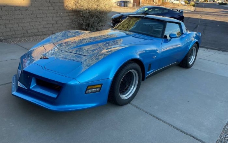 1981 Chevrolet Corvette for sale in Michigan (ID-95059)