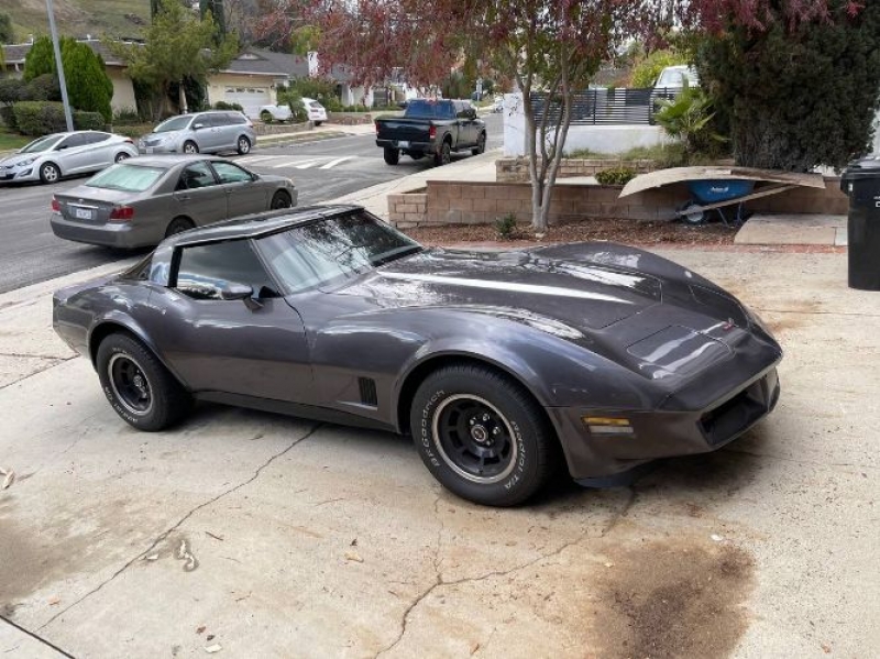 1981 Chevrolet Corvette for sale in Michigan (ID-95575)
