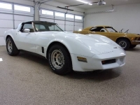 1981 Chevrolet Corvette for sale in Michigan (ID-95581)
