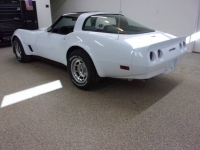 1981 Chevrolet Corvette for sale in Michigan (ID-95581)