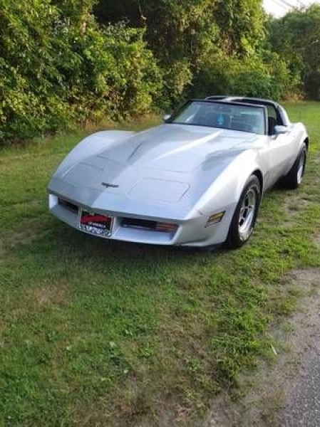 1981 Chevrolet Corvette for sale in Michigan (ID-107048)